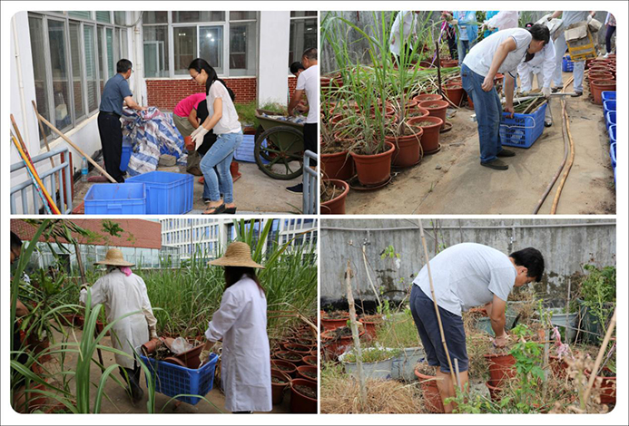 图片2.jpg 图片2.jpg