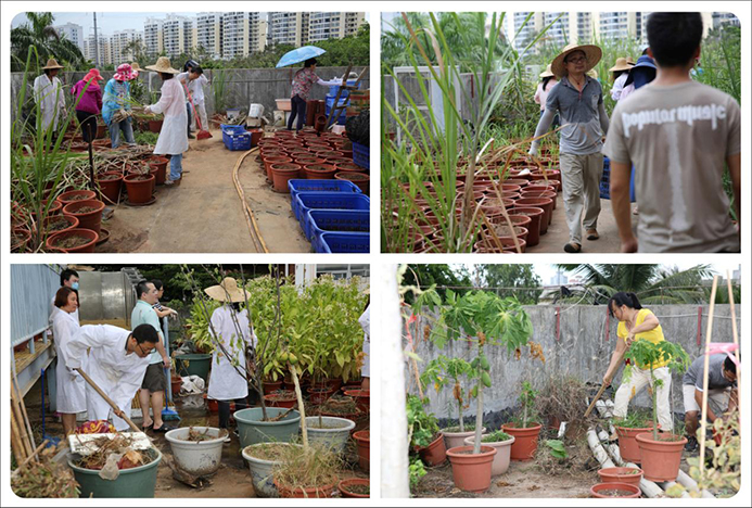 图片1.jpg 图片1.jpg